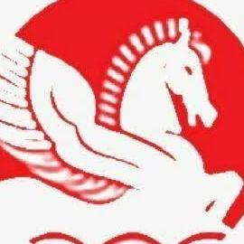 Singhal Industries