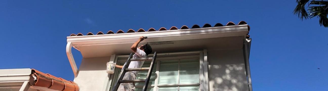 Javier  Painting