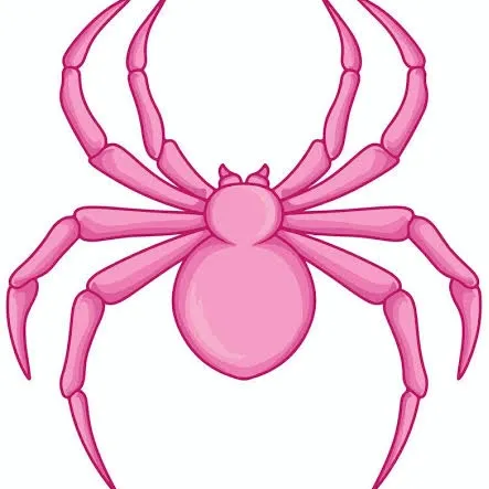 Spider Hoodies