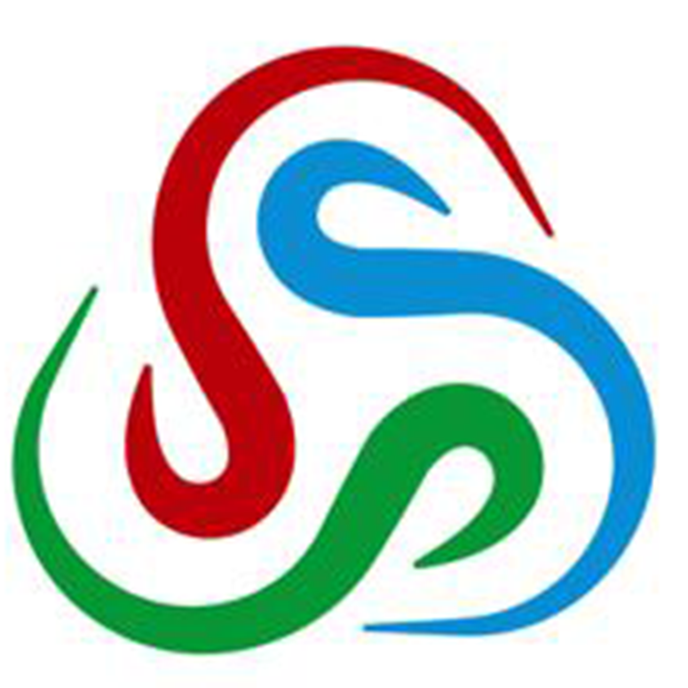 SSSPlacement Consultants
