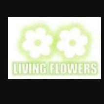 Living Flowers