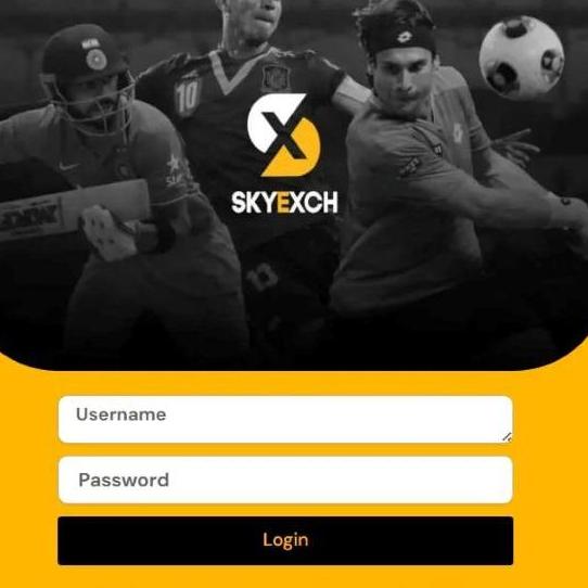Sky Exchangee