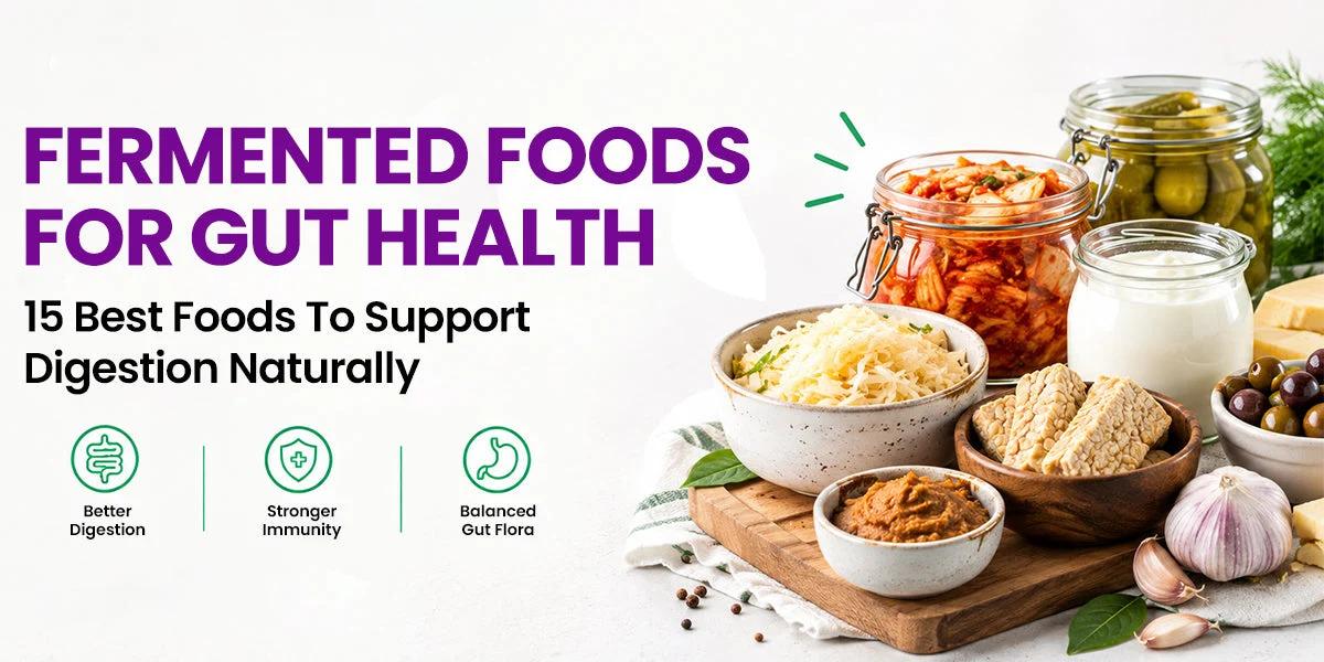 fermented foods for gut health